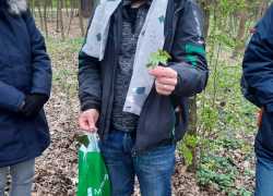 10. 4. Jarní květy v Polabí
