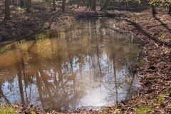 IMG_2997-rotated