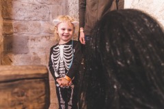 StrasidelnyZamek-124