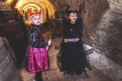 StrasidelnyZamek-129