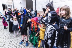 StrasidelnyZamek-133