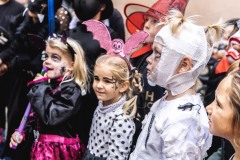 StrasidelnyZamek-140