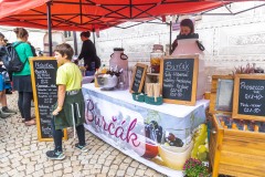 StrasidelnyZamek-152